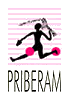 logo priberam